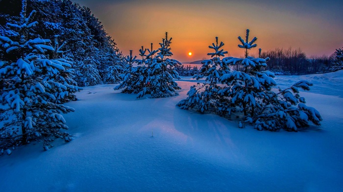 sea, cold, trees, sunset, landscape, Russia, blue, winter, snow, nature