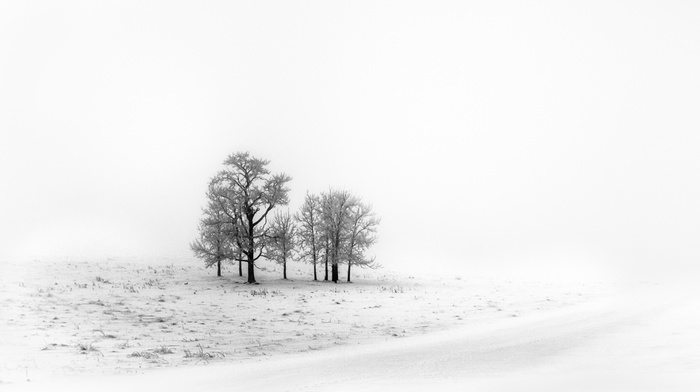 snow, ice, landscape, winter, trees