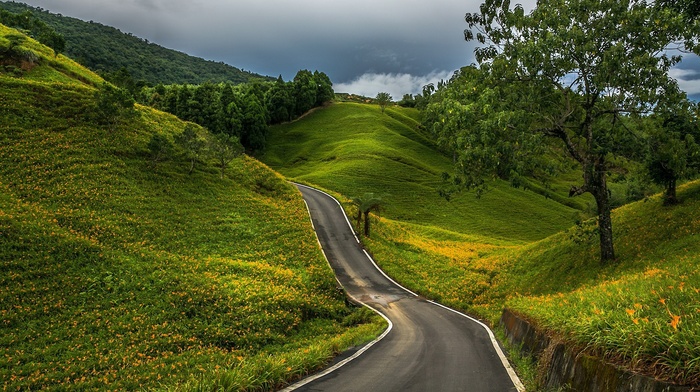 grass, clouds, forest, field, hills, road, landscape, nature, trees