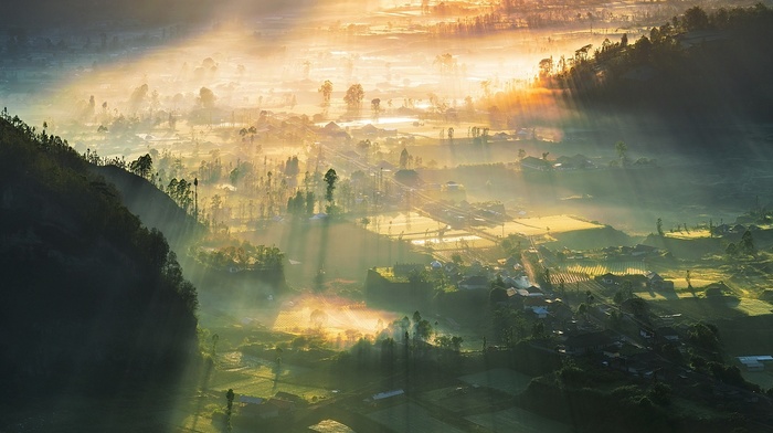 mist, sunlight, Indonesia, village, landscape, field, valley, nature, hills, trees