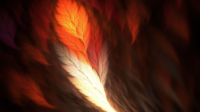 fractal, abstract, feathers