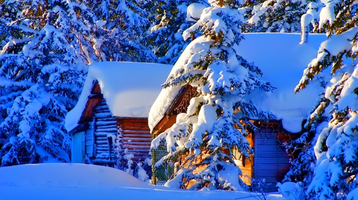 winter, forest, trees, landscape, nature, snow, house