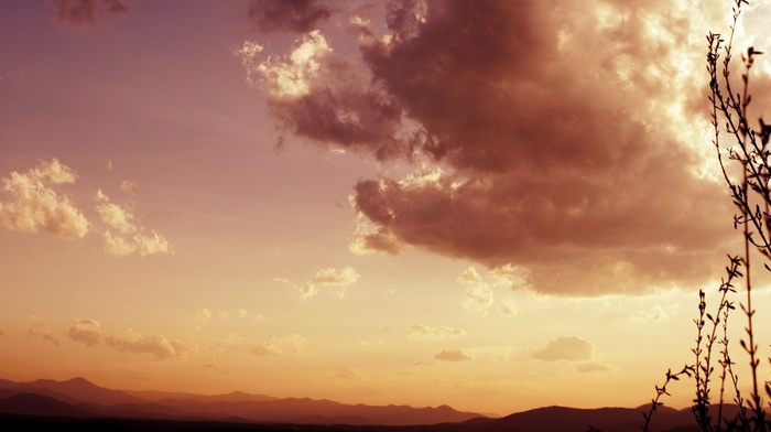 landscape, photography, sunset, plants