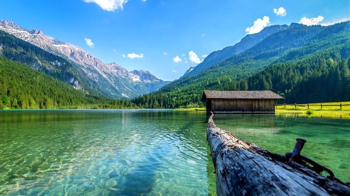 water, daylight, Austria, log, boathouses, mountains, landscape, lake, summer, nature, forest