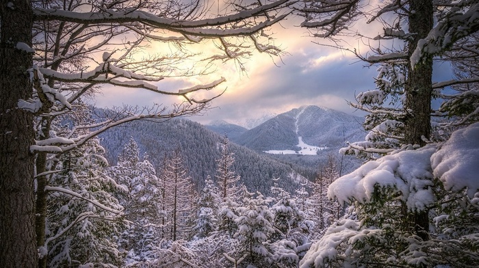 trees, Poland, clouds, forest, nature, mountains, snow, sunset, winter, landscape, cold