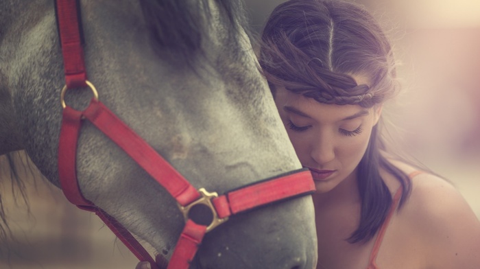 horse, model, animals, girl