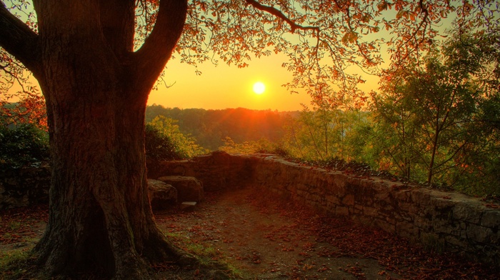 nature, photography, plants, sunset, stones, trees, fall, wall, landscape