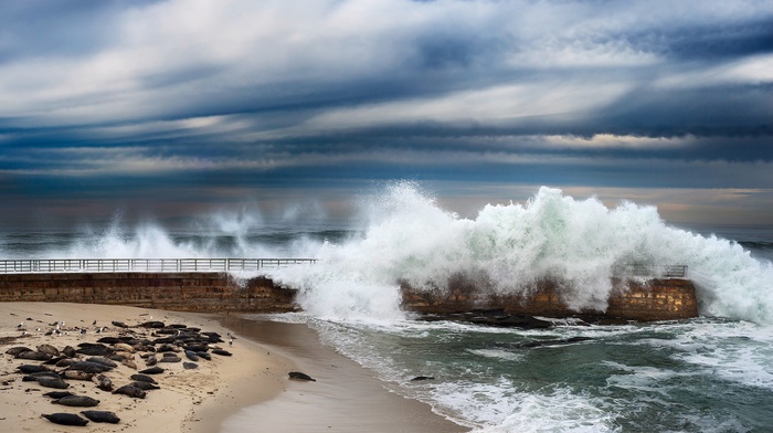 sea, waves, california, coast