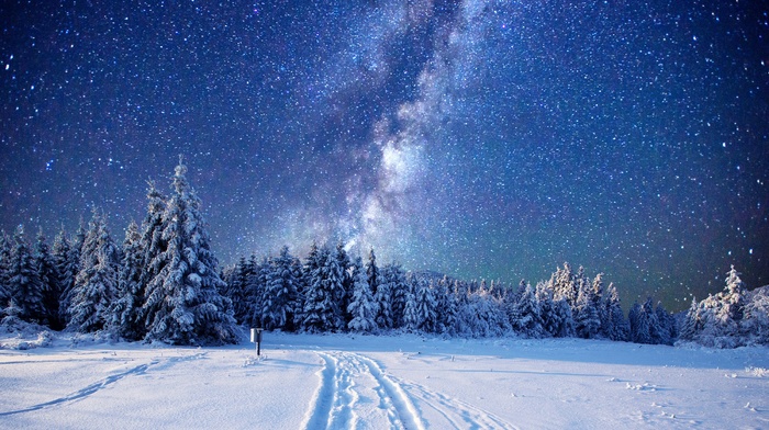 starry night, snow, forest, nordic landscapes, night, sky, winter, landscape