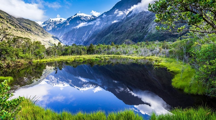 New Zealand, snowy peak, lake, nature, reflection, clouds, summer, mountains, grass, forest, landscape