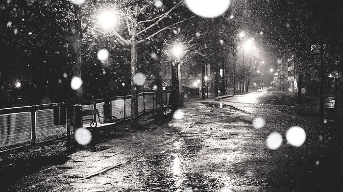 monochrome, urban, photography, trees, street, snow, night, lights