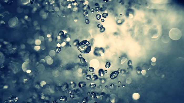 macro, water drops, photography