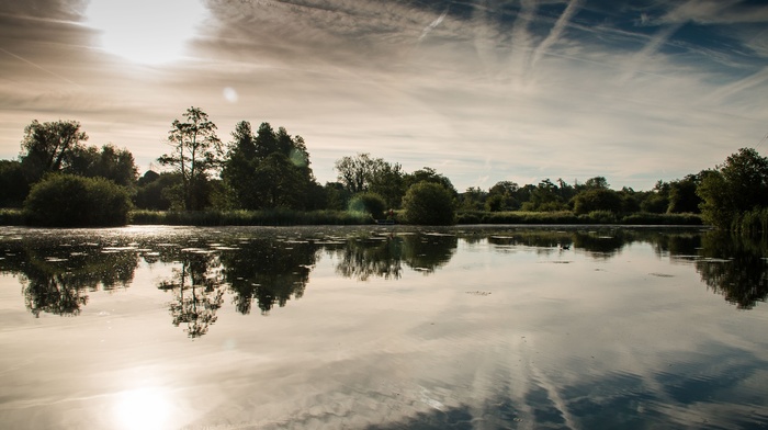 lake, landscape, reflection, forest, nature