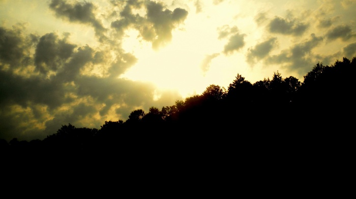 hills, trees, photography, sunset, plants, nature