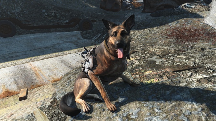 Fallout 4, Dogmeat, Fallout, video games