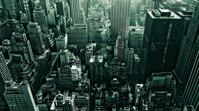 photography, New York City, skyscraper, building, urban, city