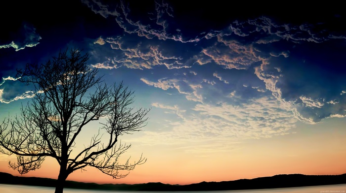 trees, clouds, landscape