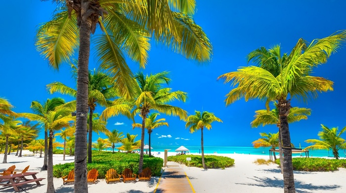 nature, sky, beach, Turks  Caicos, landscape, Caribbean, sea, chair, palm trees, walkway, tropical, sand, blue, white