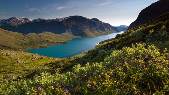 summer, sunlight, nature, mountains, grass, landscape, snowy peak, fjord, wildflowers, Norway