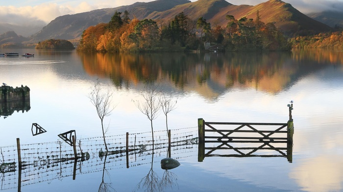 water, nature, landscape