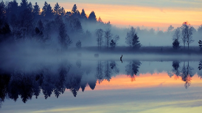blue, lake, mist, reflection, trees, forest, nature, landscape
