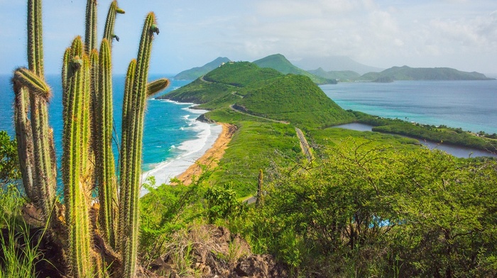 tropical, road, landscape, beach, shrubs, summer, nature, Caribbean, island, sea, green, hills, cactus
