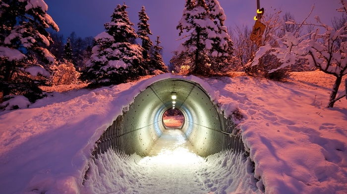 tunnel, winter, trees, night, snow, nature, photography