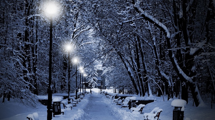 trees, lights, nature, park, bench, winter, snow, photography, night