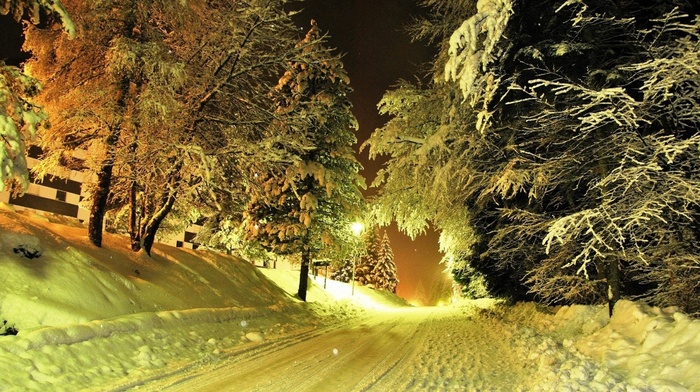lights, snow, trees, photography, night, road, nature, winter, landscape