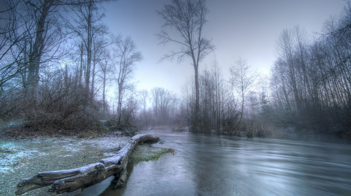 winter, nature, landscape, river, forest, morning, frost