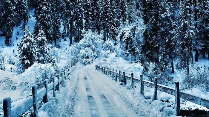 bridge, winter