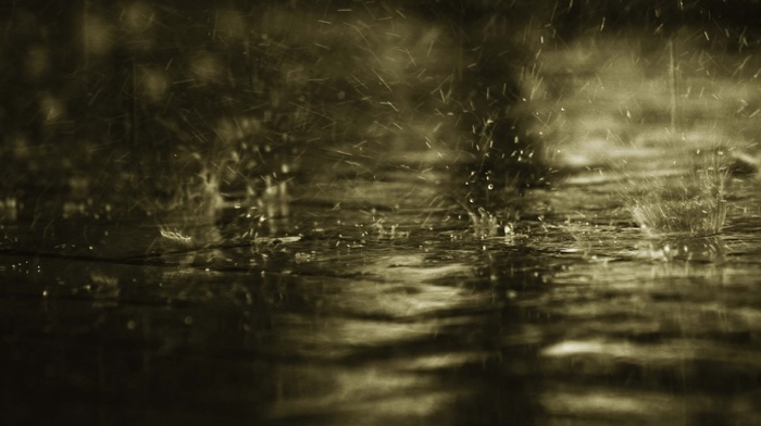 water drops, water, photography, rain
