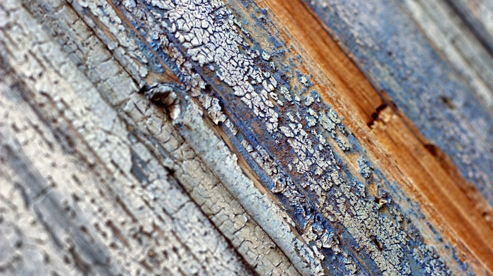 depth of field, wooden surface, wood, texture, simple