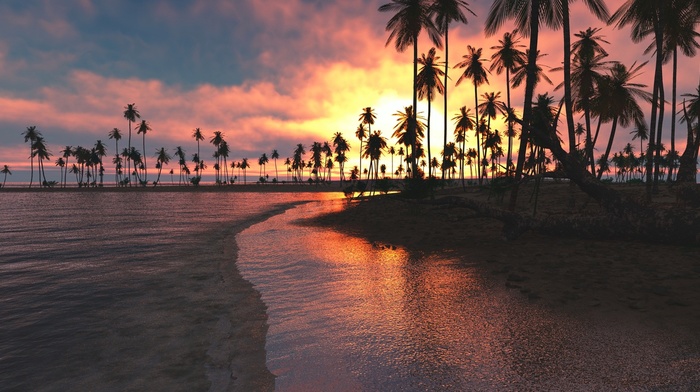 sky, sand, sea, palm trees, beach, tropical, sunset, landscape, nature, clouds