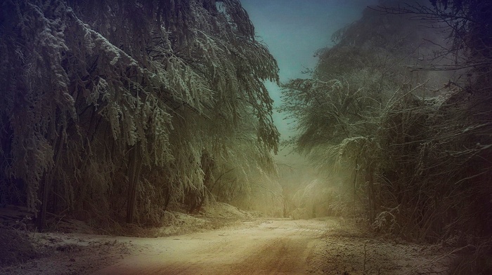 dirt road, winter, frost, landscape, snow, cold, trees, nature, mist
