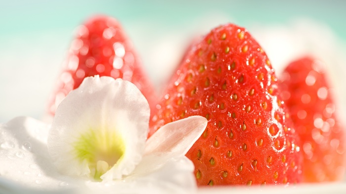 strawberries, food, photography, macro, flowers, fruit