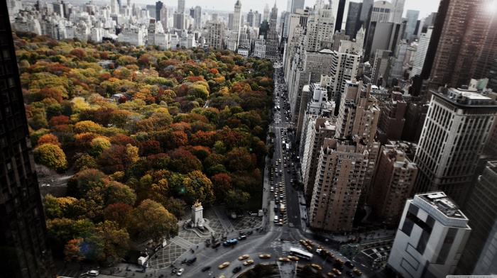 car, roundabouts, blurred, trees, architecture, city, fall, window, park, building, central park, taxi, New York City, cityscape, USA, aerial view, birds eye view, skyscraper, urban, street