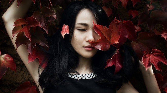 leaves, Asian, model