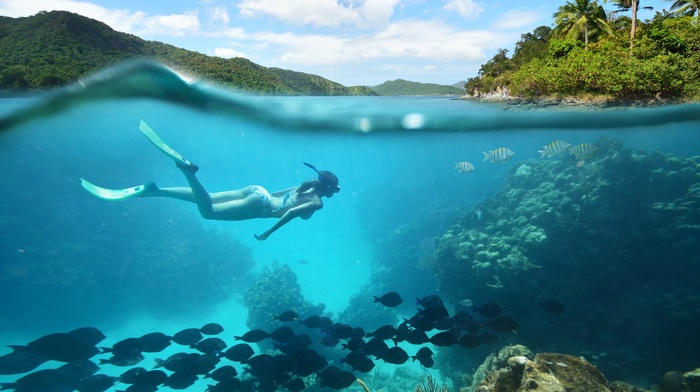 nature, divers, water, girl, bikini, sea, underwater