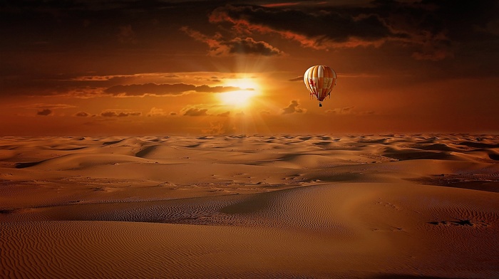 hot air balloons, landscape, flamingos, desert