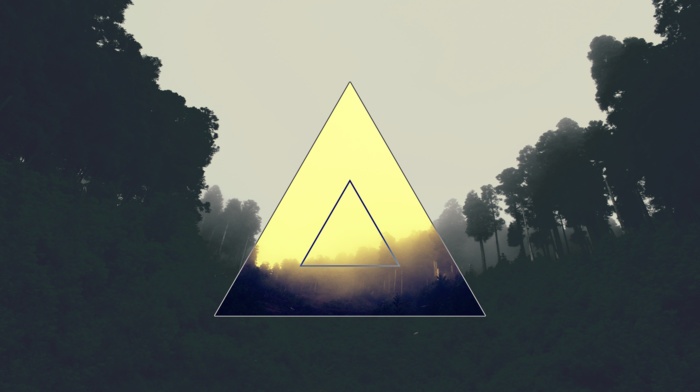 triangle, polyscape, forest