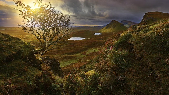 landscape, nature, valley, clouds, Scotland, grass, pond, wildflowers, shrubs, hills