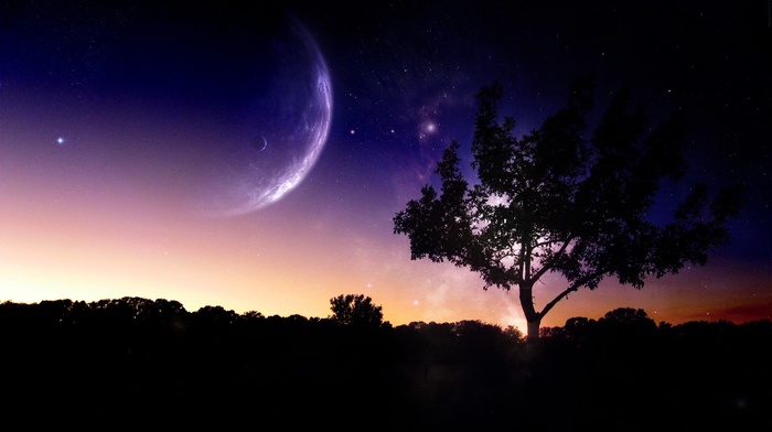 night, digital art, trees, nature, photo manipulation, planet, sky
