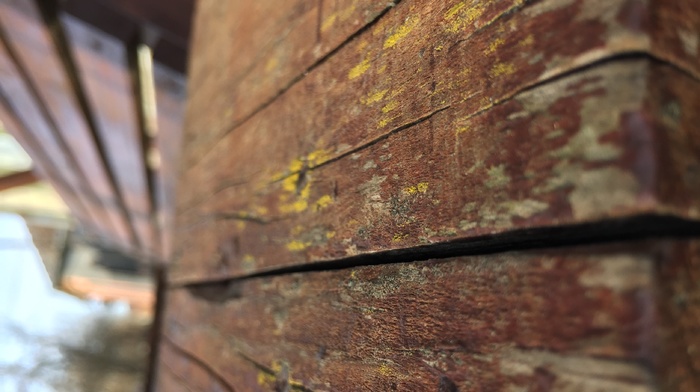 depth of field, wooden surface