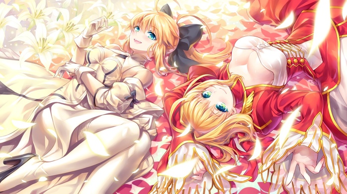 Saber Lily, Saber Extra, FateExtra, fate series