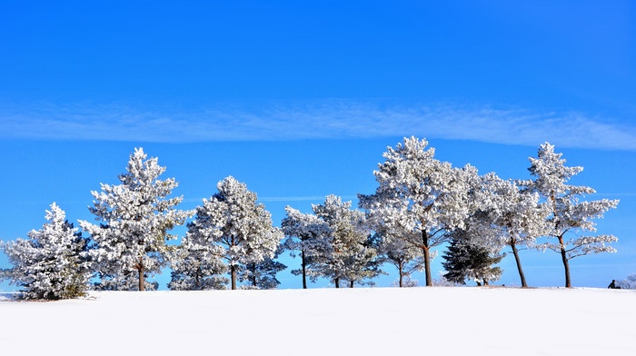 winter, snow, landscape, seasons, trees