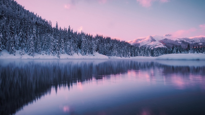 landscape, lake, winter