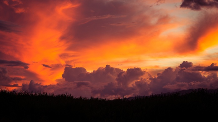 black, red, clouds, filter, sky, grass, sunset