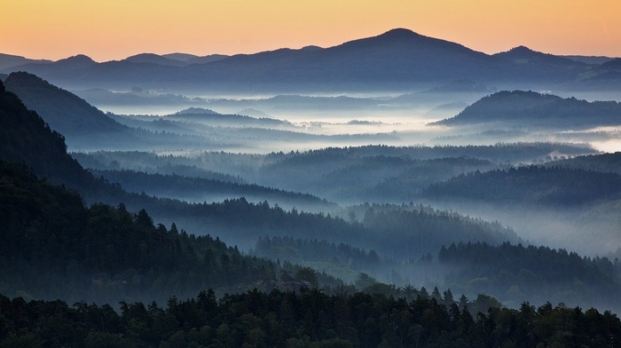nature, mountains, forest, blue, Czech Republic, mist, landscape