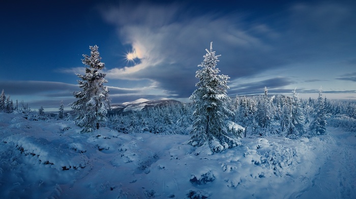forest, snow, Czech Republic, Sun, cold, winter, nature, trees, clouds, landscape